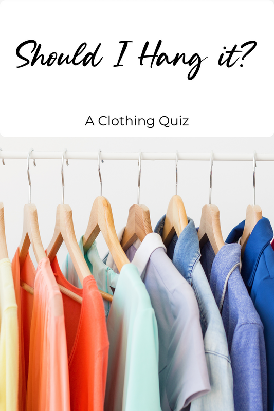 Clothing Quiz - Should I Hang it? - FREE